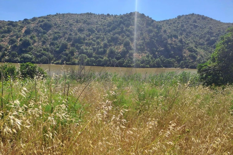 Terreno para Venda em Alcoutim e Pereiro Foto 2