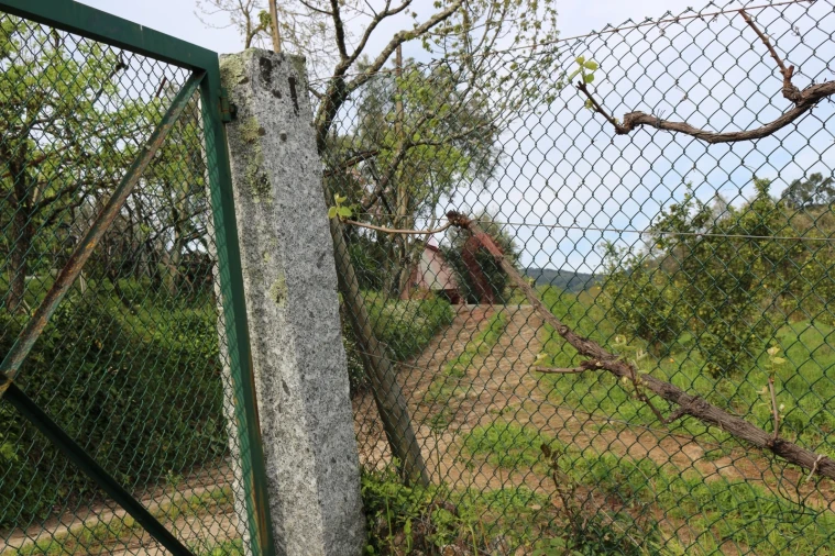 Moradia T2 para Venda em Fervença Foto 18