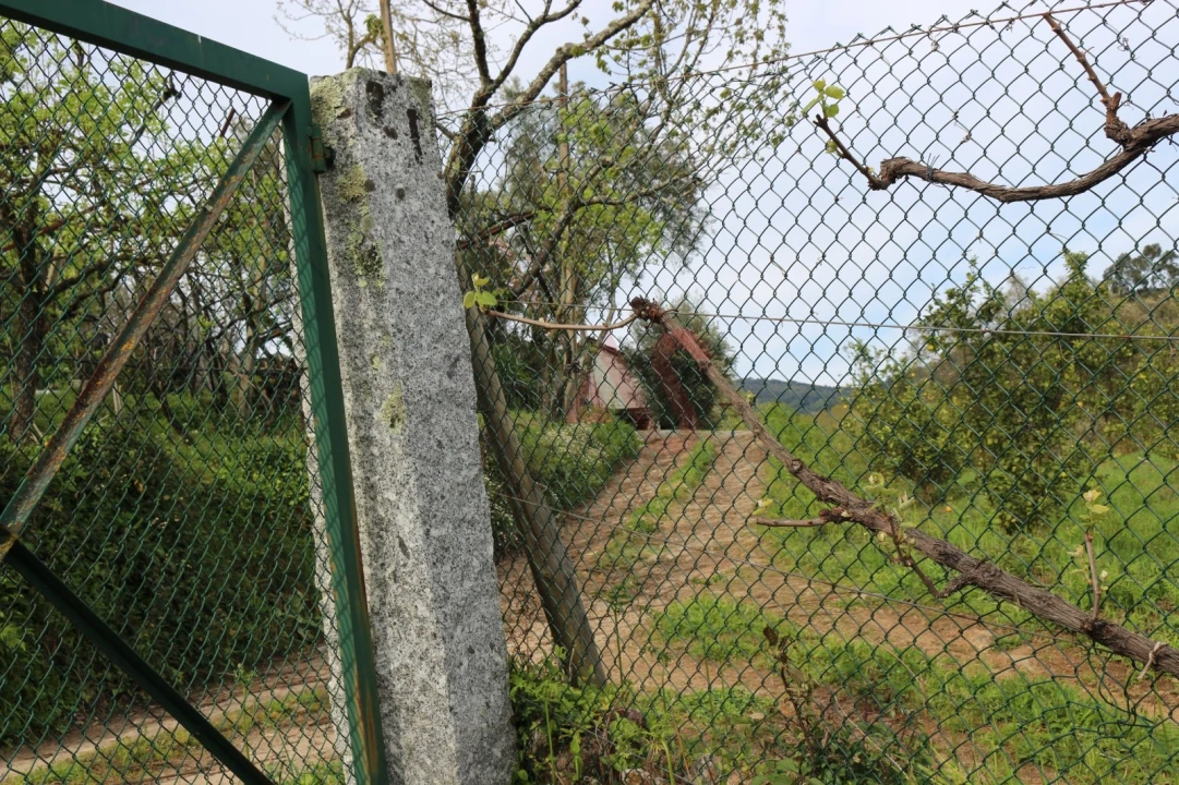 Moradia T2 para Venda em Fervença Foto 18