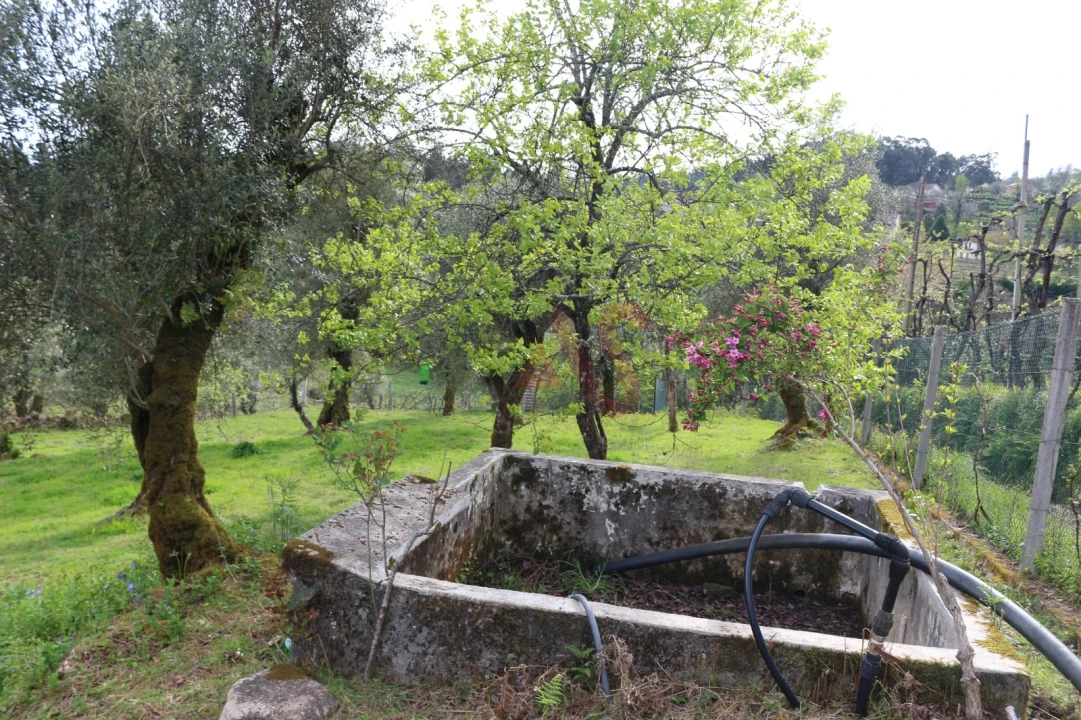 Moradia T2 para Venda em Fervença Foto 22