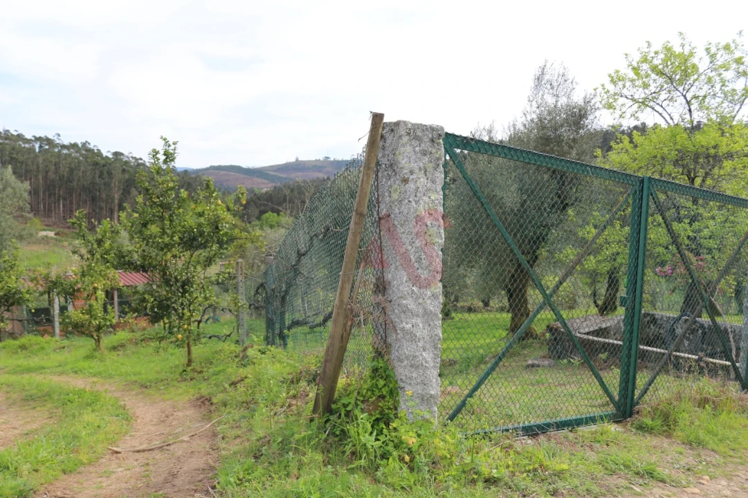 Moradia T2 para Venda em Fervença Foto 21