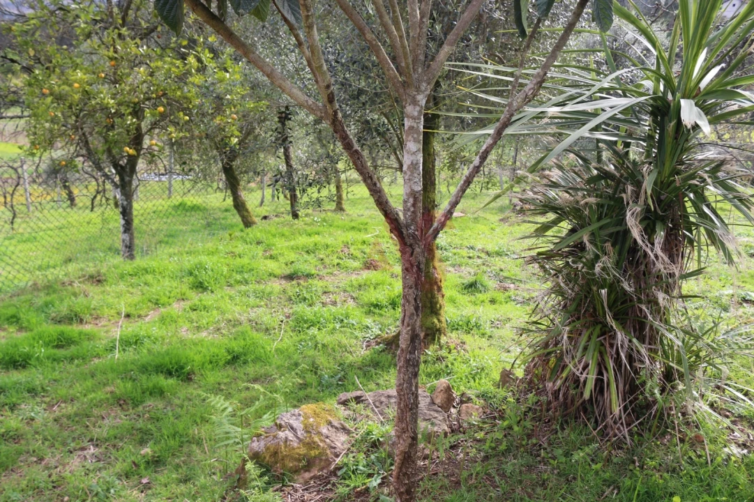 Moradia T2 para Venda em Fervença Foto 29