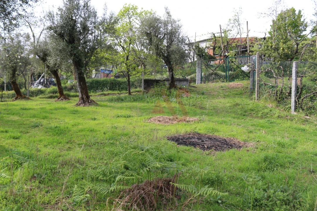 Moradia T2 para Venda em Fervença Foto 25