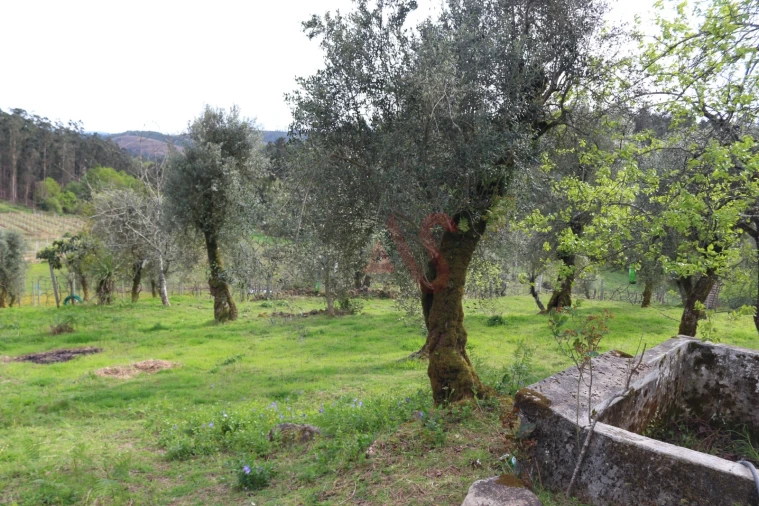 Moradia T2 para Venda em Fervença Foto 33