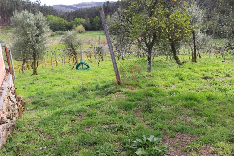 Moradia T2 para Venda em Fervença Foto 17