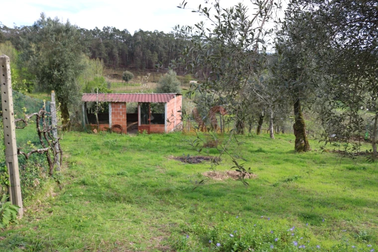 Moradia T2 para Venda em Fervença Foto 20