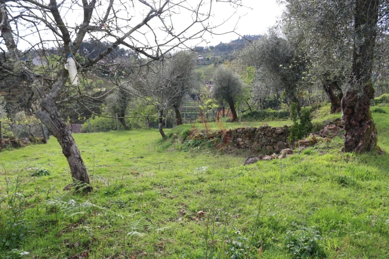 Moradia T2 para Venda em Fervença Foto 28