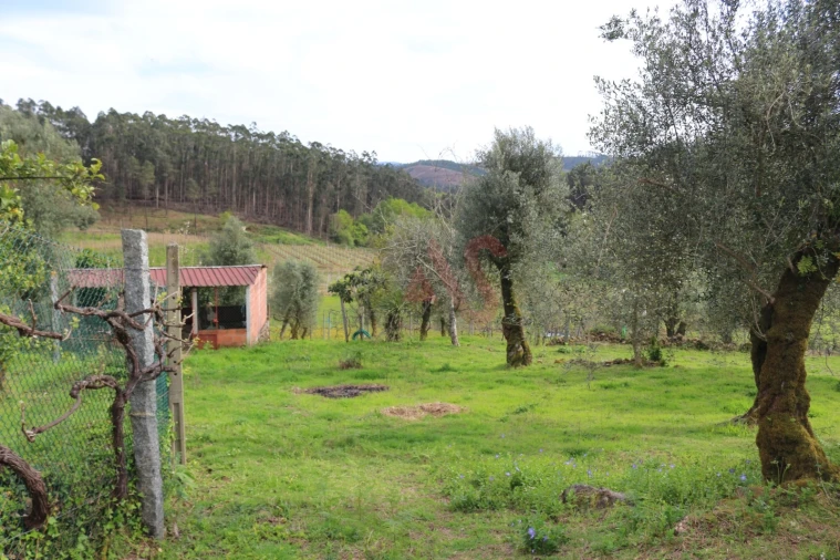 Moradia T2 para Venda em Fervença Foto 16