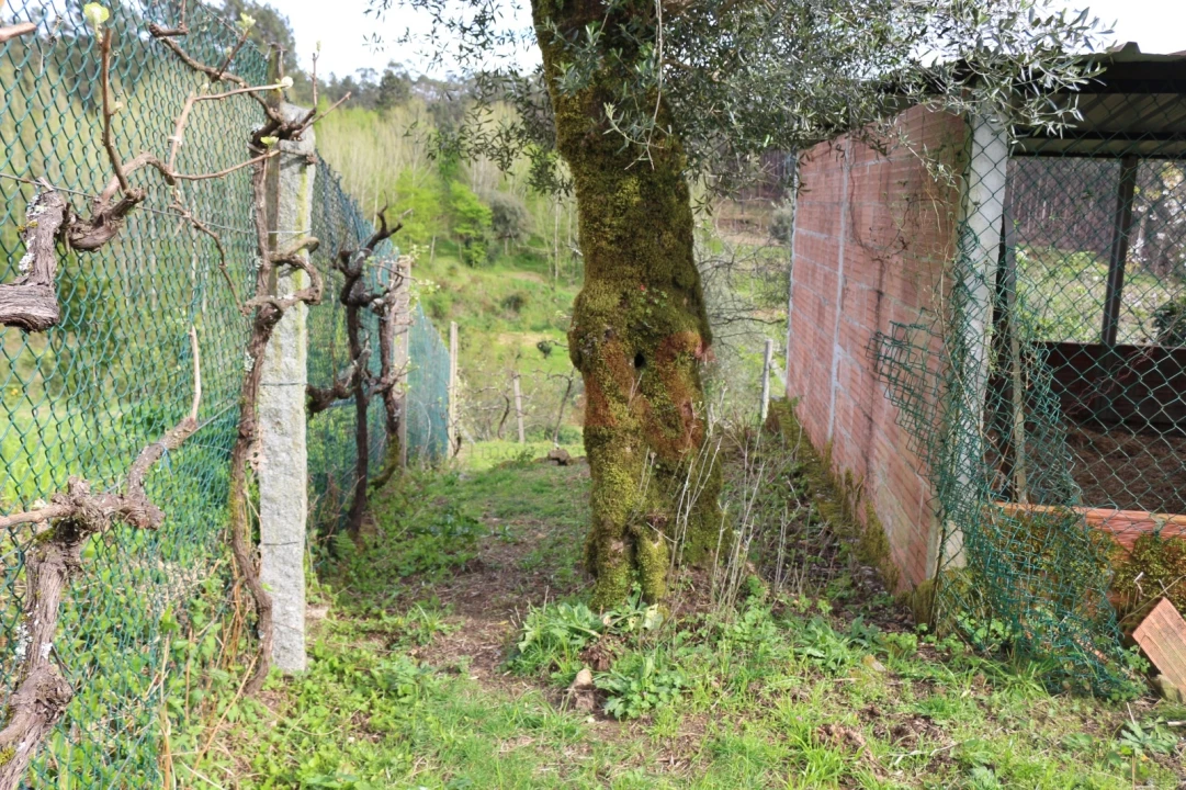 Moradia T2 para Venda em Fervença Foto 23