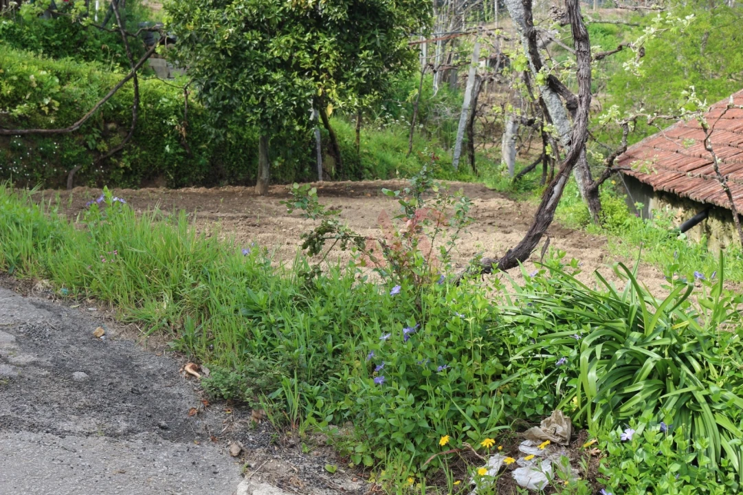 Moradia T2 para Venda em Fervença Foto 8