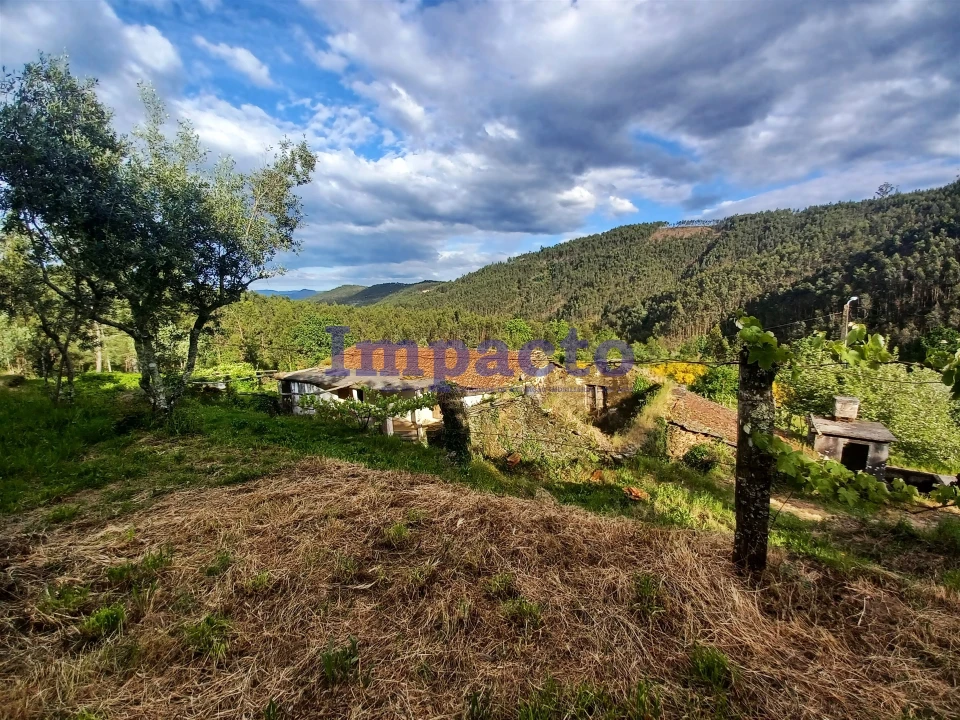 Moradia T0 para Venda em Fermedo Foto 5