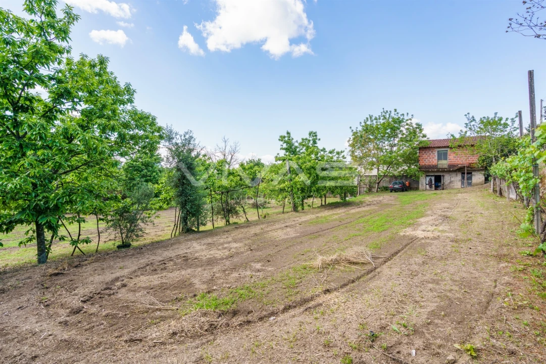 Terreno para Venda em Sande, Vilarinho, Barros e Gomide Foto 9