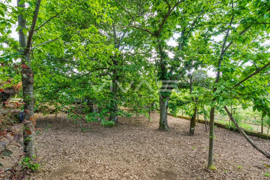 Terreno para Venda em Sande, Vilarinho, Barros e Gomide Foto 7