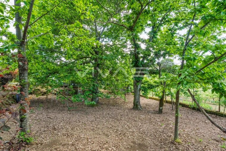 Terreno para Venda em Sande, Vilarinho, Barros e Gomide Foto 7