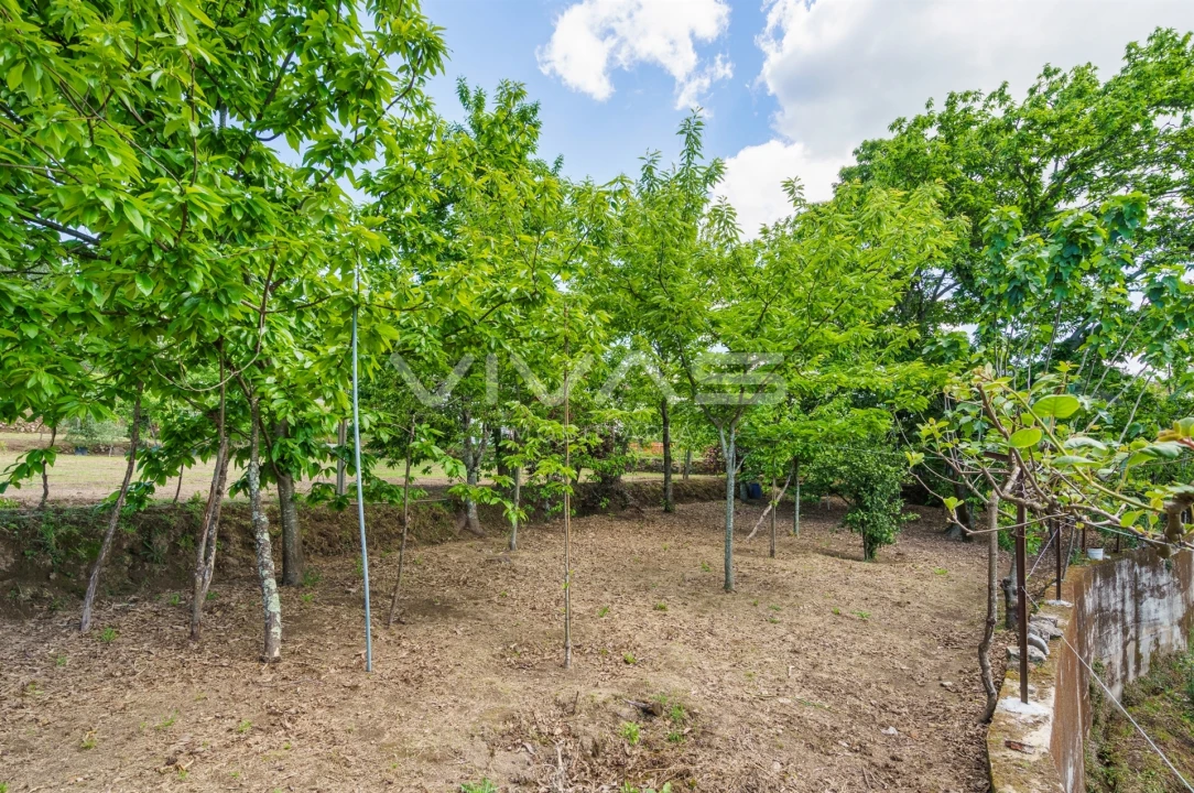 Terreno para Venda em Sande, Vilarinho, Barros e Gomide Foto 4