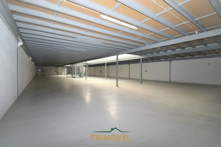 Negócio para Arrendamento em Nogueira do Cravo e Pindelo Foto 5