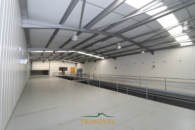 Negócio para Arrendamento em Nogueira do Cravo e Pindelo Foto 19