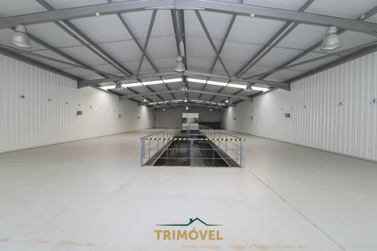 Negócio para Arrendamento em Nogueira do Cravo e Pindelo Foto 21