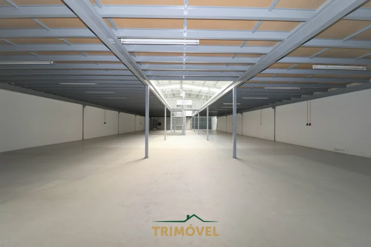 Negócio para Arrendamento em Nogueira do Cravo e Pindelo Foto 4