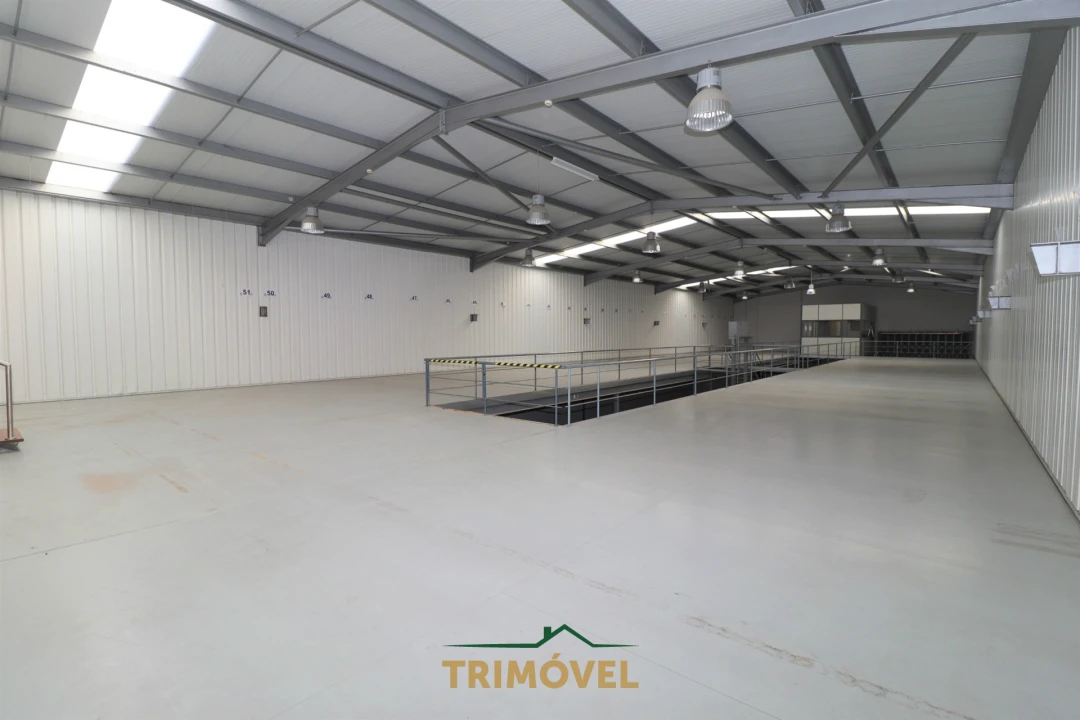 Negócio para Arrendamento em Nogueira do Cravo e Pindelo Foto 20