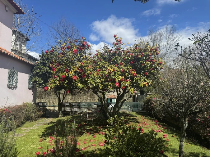 Moradia T7 para Venda em Lordelo do Ouro e Massarelos Foto 2