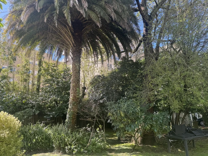 Moradia T7 para Venda em Lordelo do Ouro e Massarelos Foto 5