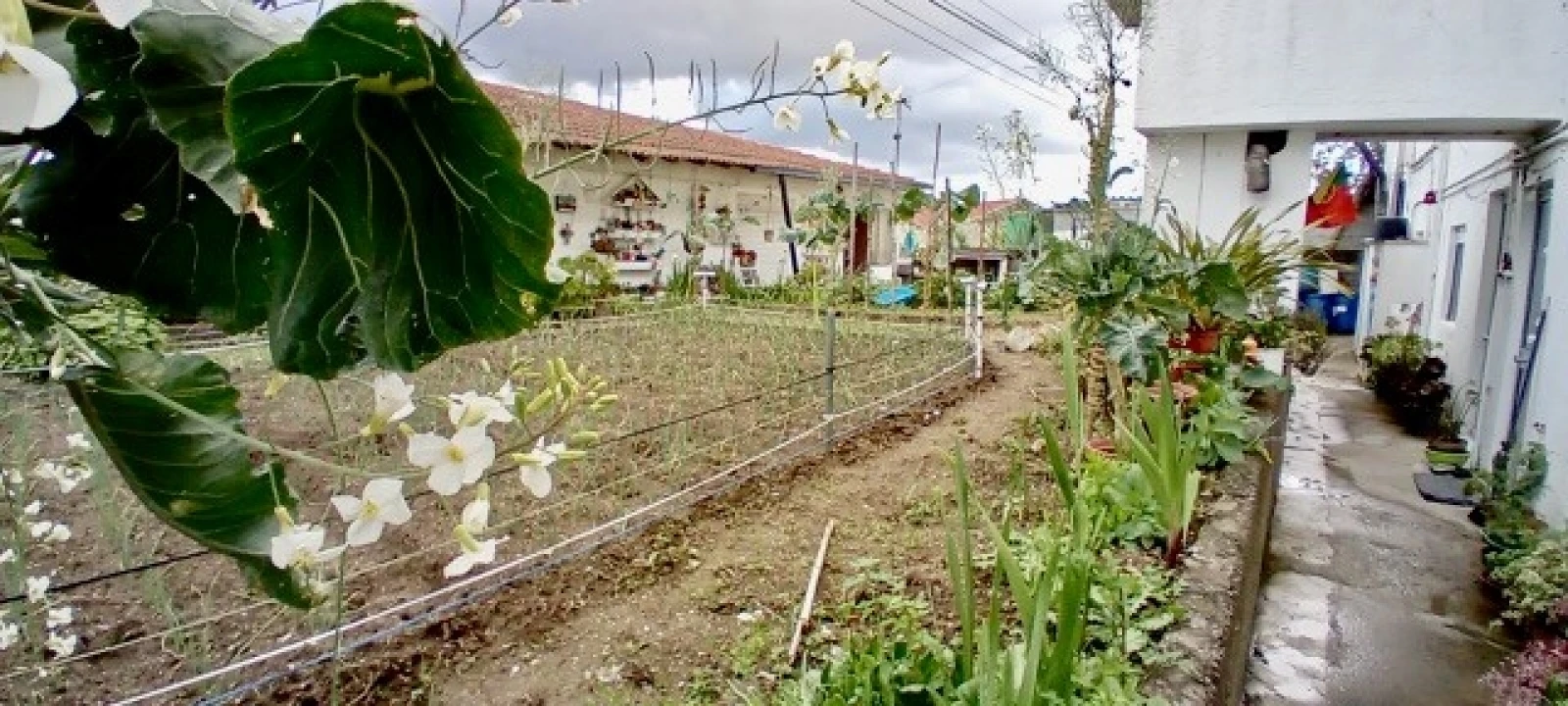 Moradia T5 para Venda em Pedome Foto 18