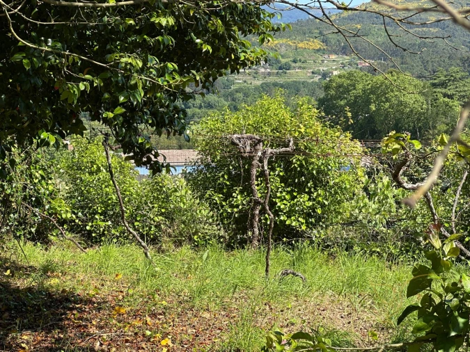 Moradia T0 para Venda em Paderne Foto 13