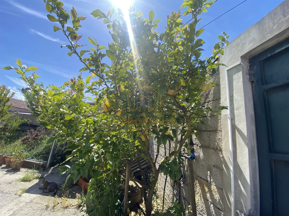 Moradia T4 para Venda em Ferreira-A-Nova Foto 30