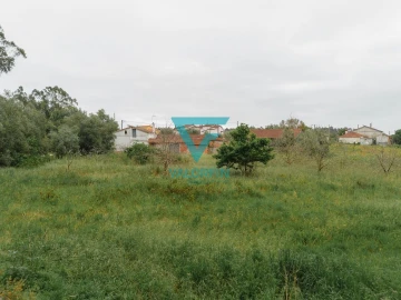 Terreno para Venda em Bidoeira de Cima