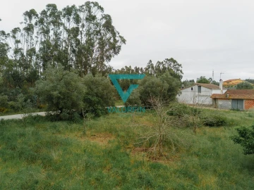 Terreno para Venda em Bidoeira de Cima