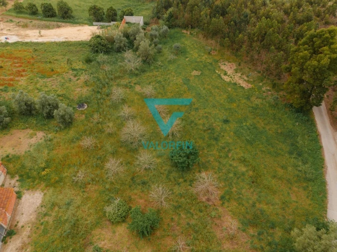 Terreno para Venda em Bidoeira de Cima Foto 12