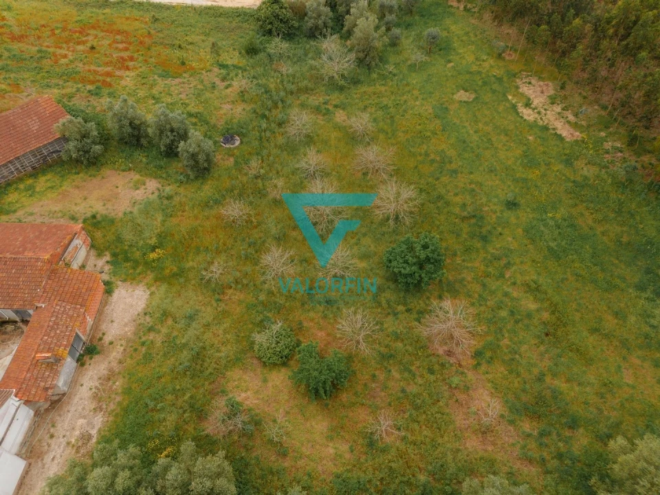Terreno para Venda em Bidoeira de Cima Foto 11