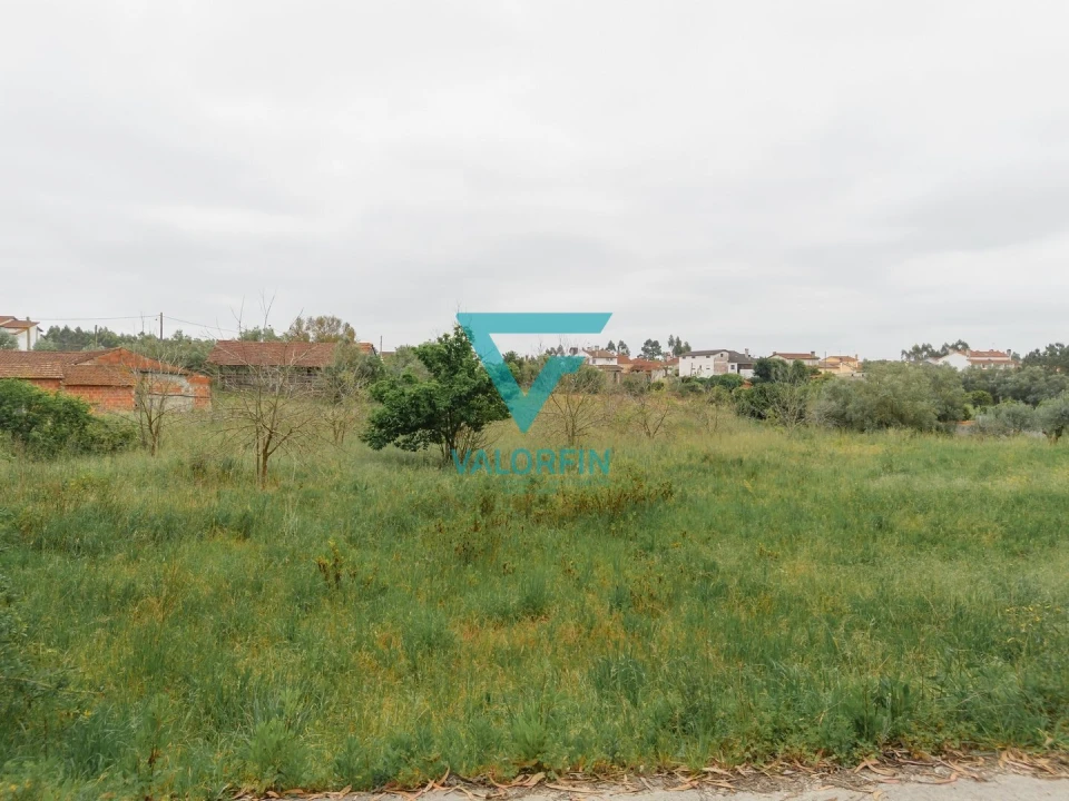 Terreno para Venda em Bidoeira de Cima Foto 5