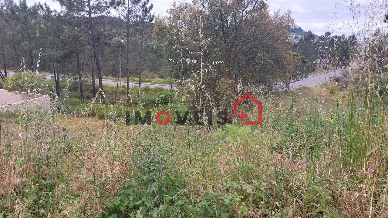 Terreno para Venda em Nossa Senhora das Misericordias Foto 2