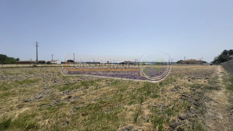 Terreno para Venda em Samora Correia Foto 5