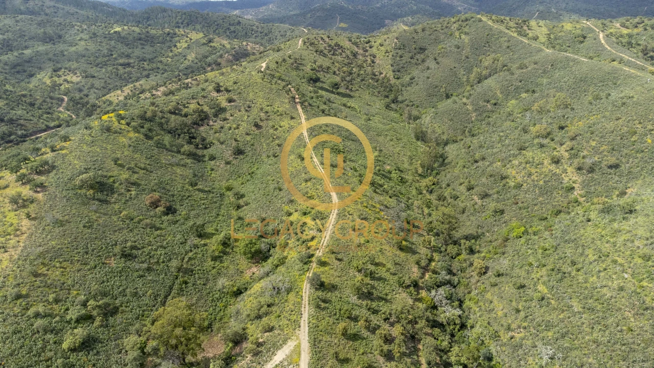 Terreno para Venda em Salir Foto 9