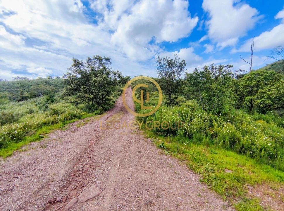 Terreno para Venda em Salir Foto 18