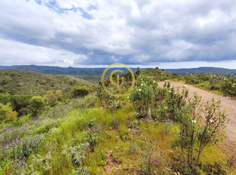 Terreno para Venda em Salir Foto 19