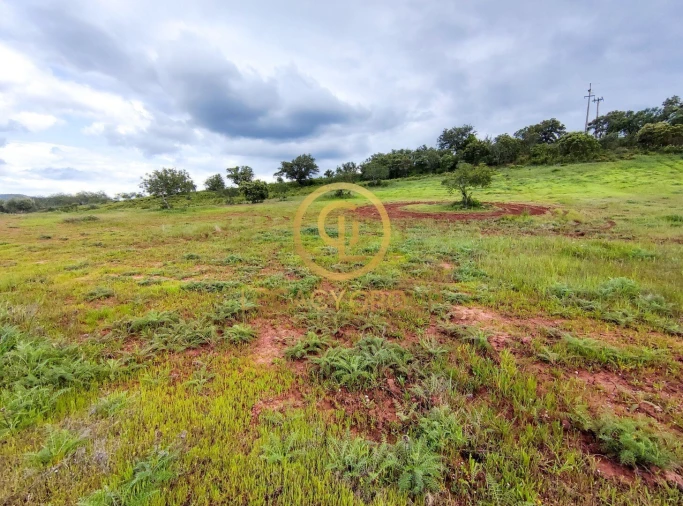 Terreno para Venda em Salir Foto 16
