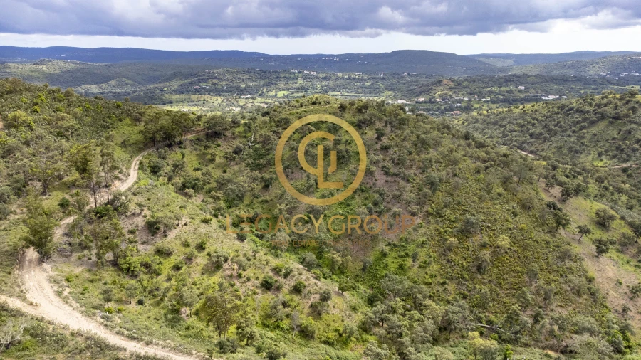 Terreno para Venda em Salir Foto 11