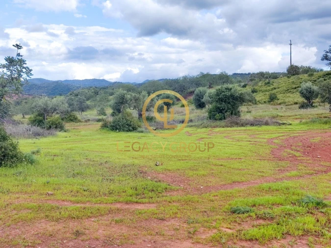 Terreno para Venda em Salir Foto 13