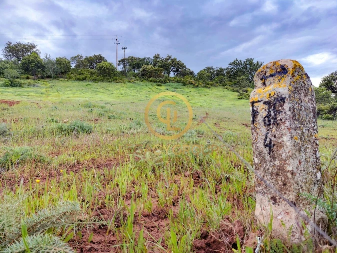 Terreno para Venda em Salir Foto 12
