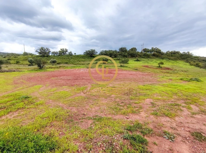 Terreno para Venda em Salir Foto 15