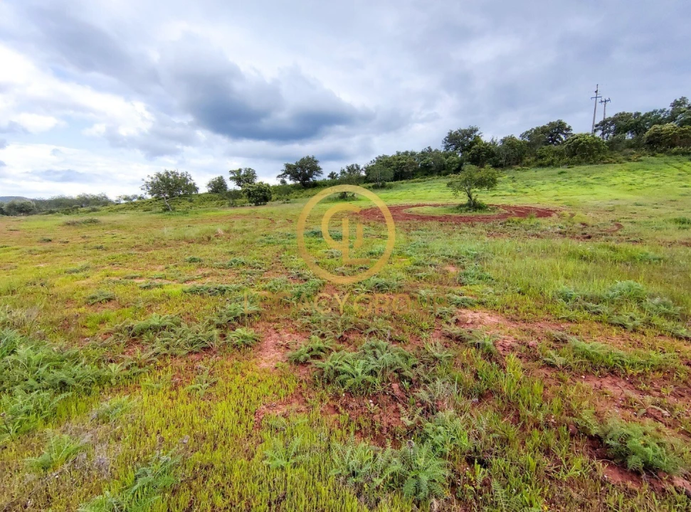Terreno para Venda em Salir Foto 16