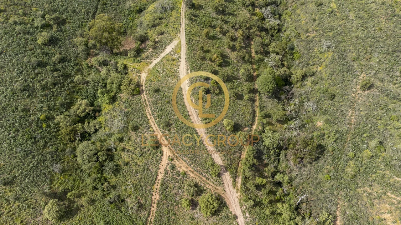 Terreno para Venda em Salir Foto 10