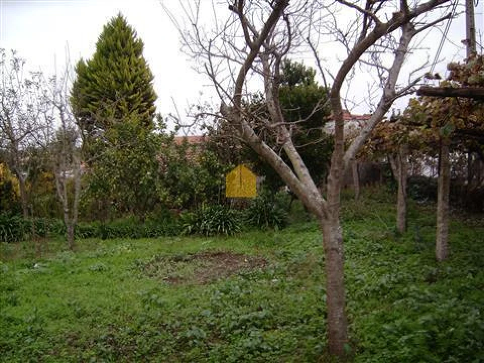 Terreno para Venda em Moreira Foto 3