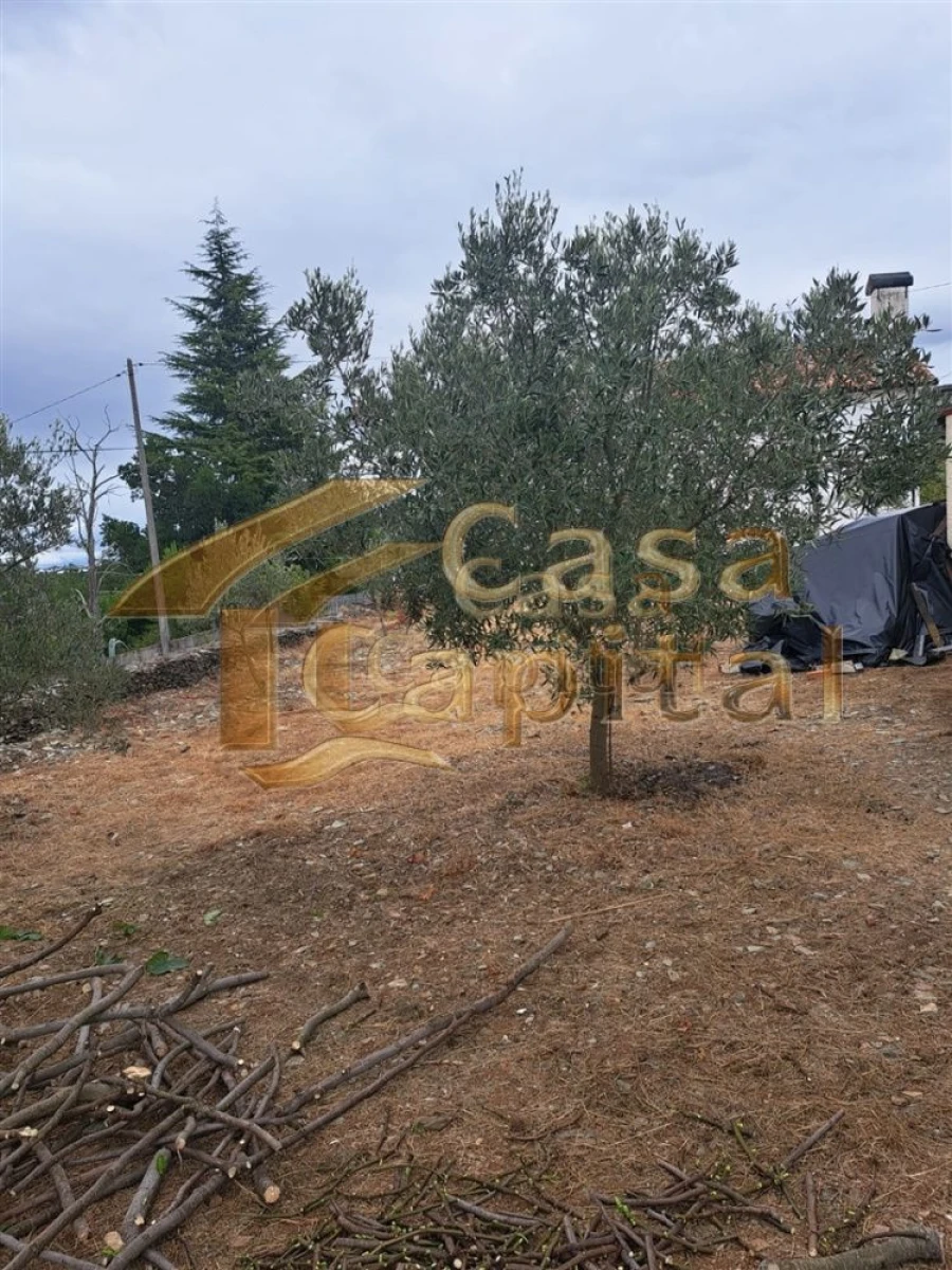 Moradia T3 para Venda em Abaças Foto 8