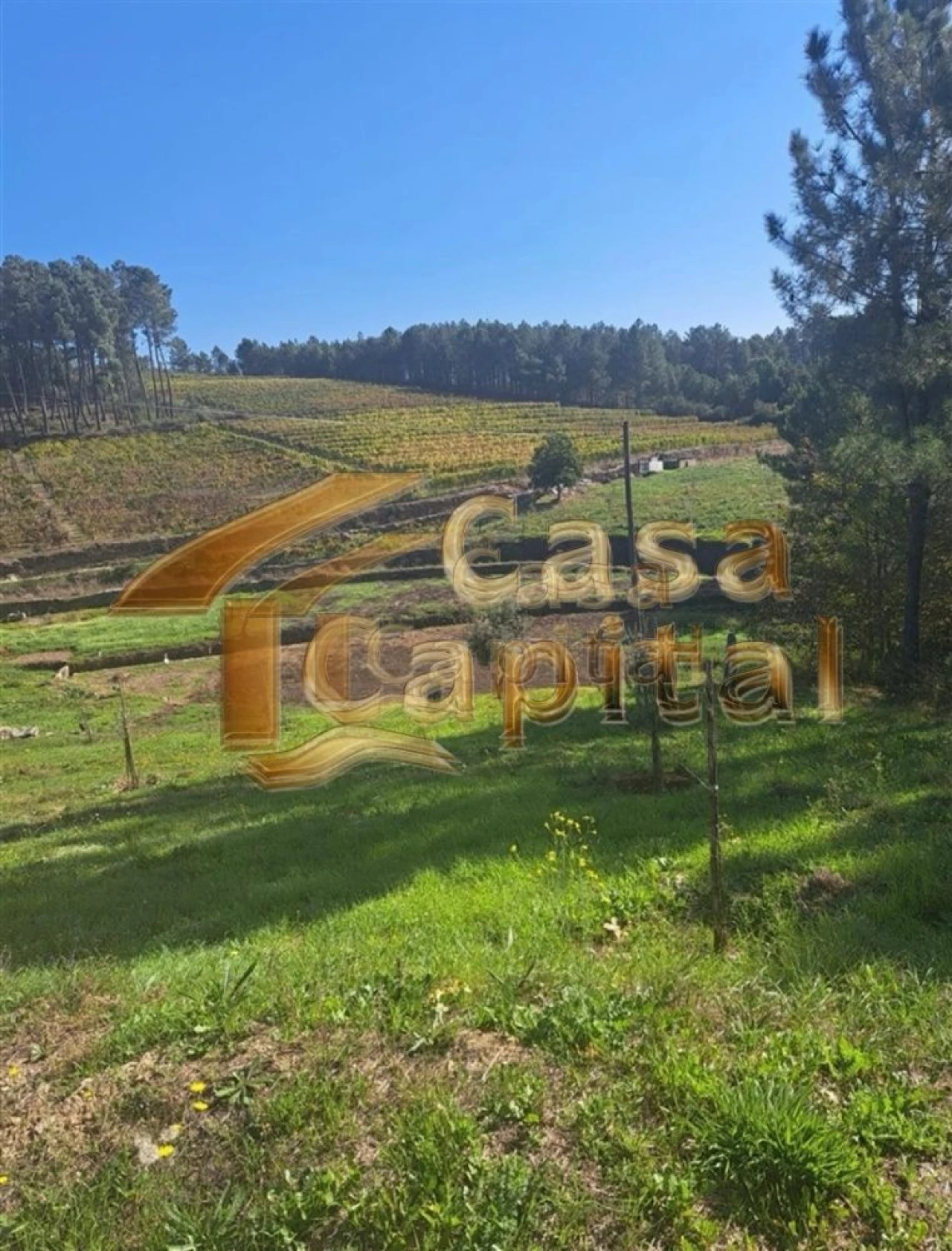 Moradia T3 para Venda em Abaças Foto 23