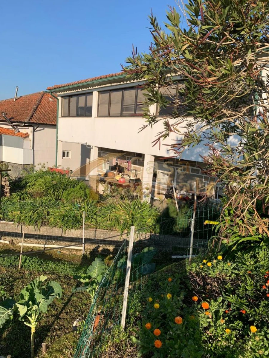 Moradia T3 para Venda em Folhadela Foto 15